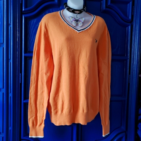 Orange V Neck Sweater American Eagle Outfitters - Picture 3 of 16